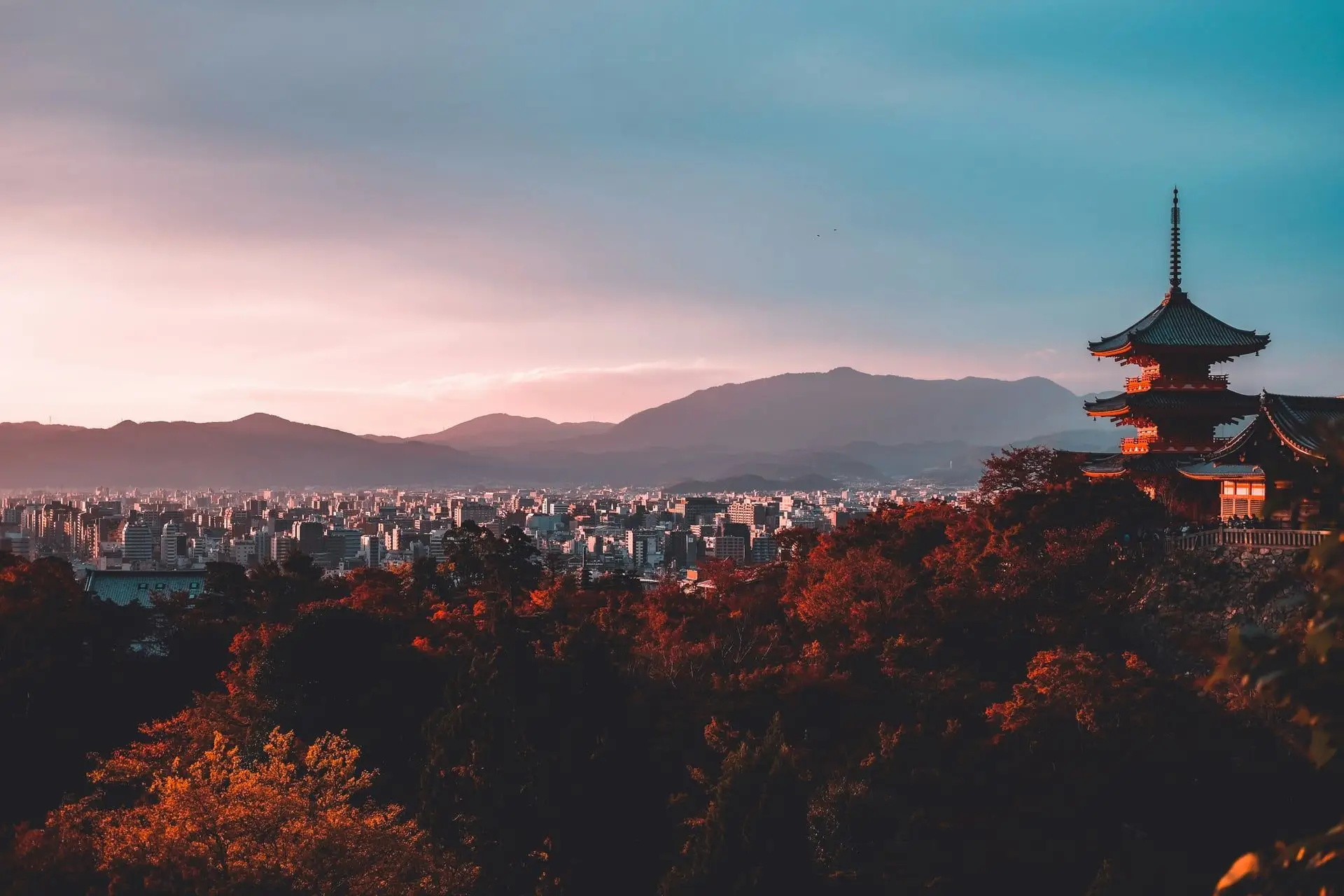 Study in Japan