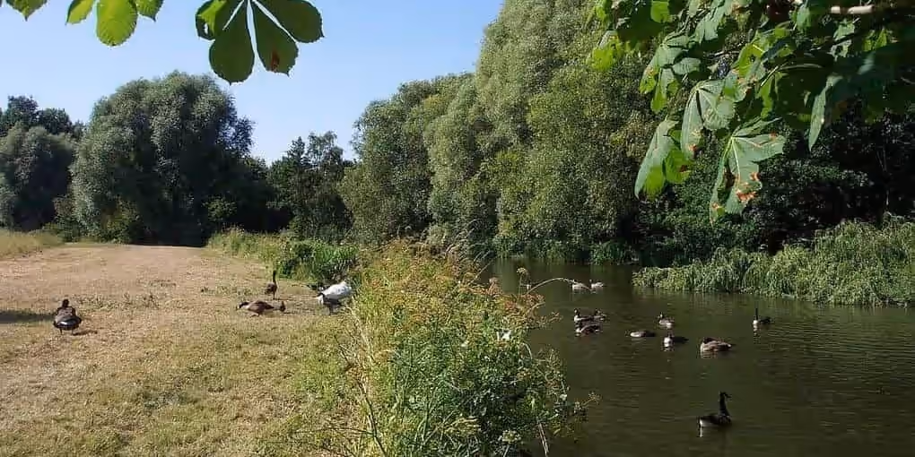 University of Reading – University Guide for GCC and Southeast Asian Students