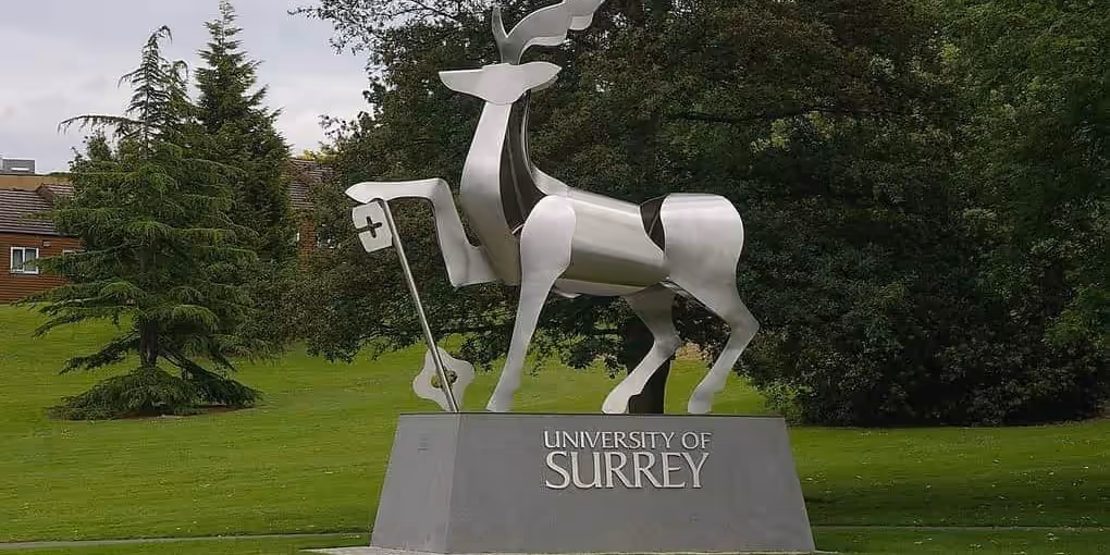 University of Surrey – University Guide for GCC and Southeast Asian Students
