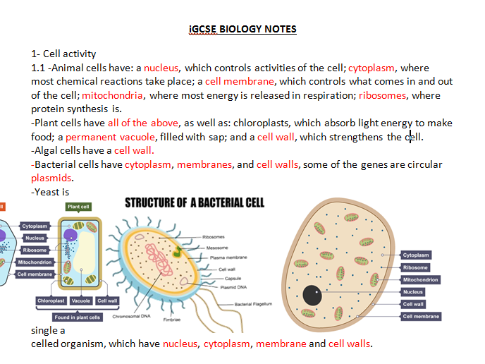 IGCSE Biology 36 Tips to Help You Ace The IGCSE Biology Paper