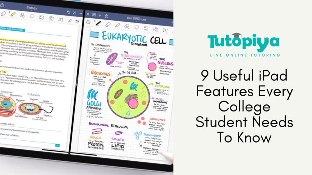 iPad for Students 9 Useful Tips and Features You Must Know!