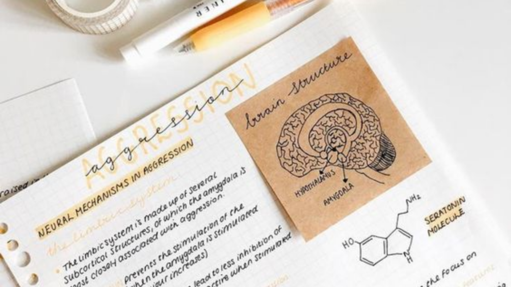 Digital vs Physical NoteTaking What is the best note taking method