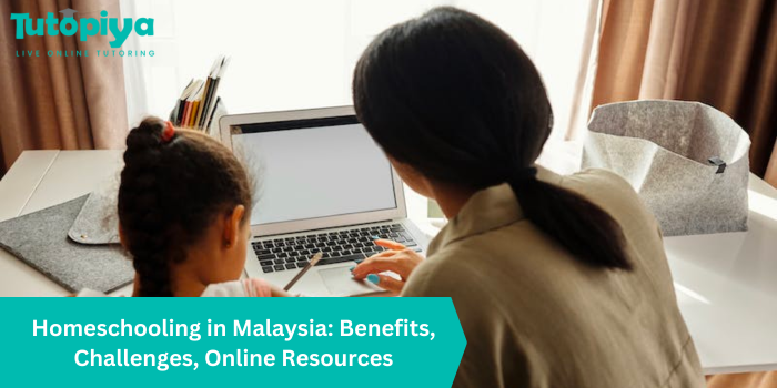 Homeschooling in Malaysia Benefits, Challenges, Online Resources