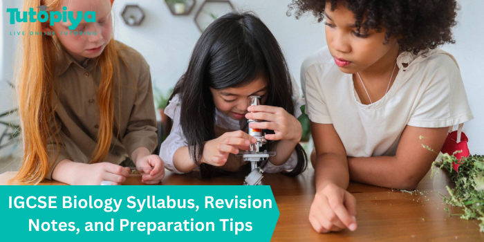 IGCSE Biology Syllabus, Revision Notes, and Preparation Tips