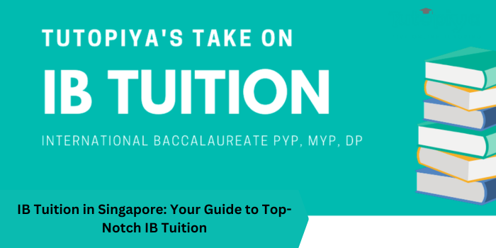 IB Tuition in Singapore Your Guide to Top-Notch IB Tuition