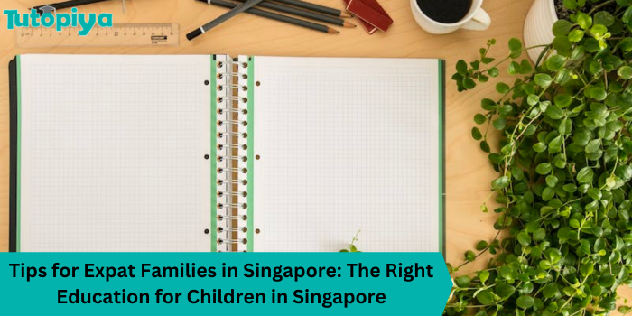 Tips for Expat Families in Singapore