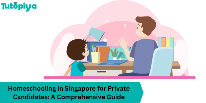 Homeschooling in Singapore for Private Candidates